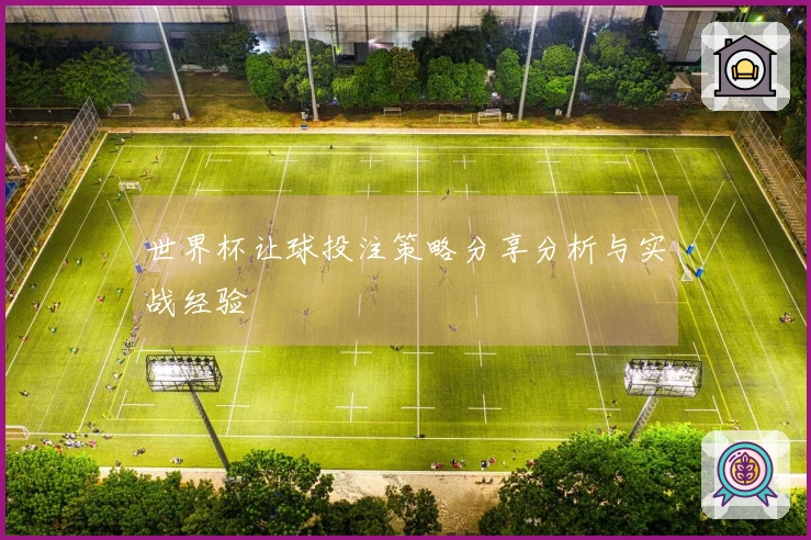 世界杯让球投注策略分享分析与实战经验