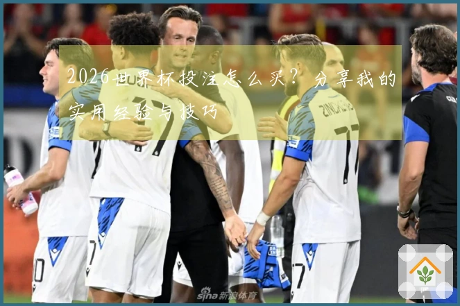 2026世界杯投注怎么买？分享我的实用经验与技巧