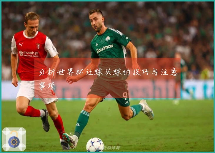 分析世界杯让球买球的技巧与注意事项