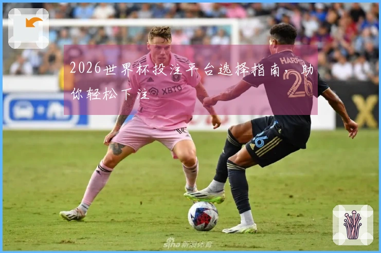2026世界杯投注平台选择指南，助你轻松下注