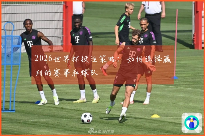 2026世界杯投注策略：如何选择赢利的赛事和球队